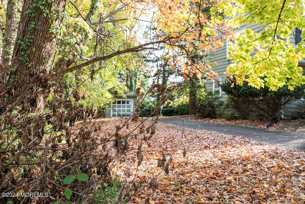 340 River Road, Fair Haven, New Jersey image 32