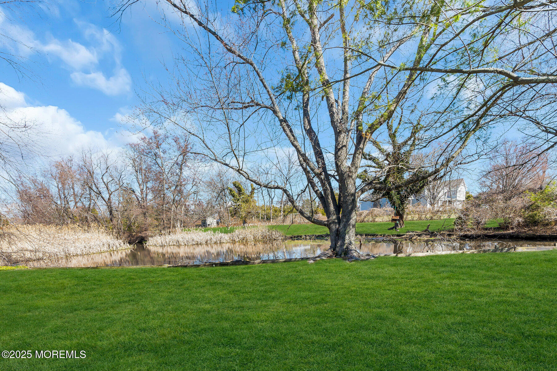 6 Pompano Road, Rumson, New Jersey image 35