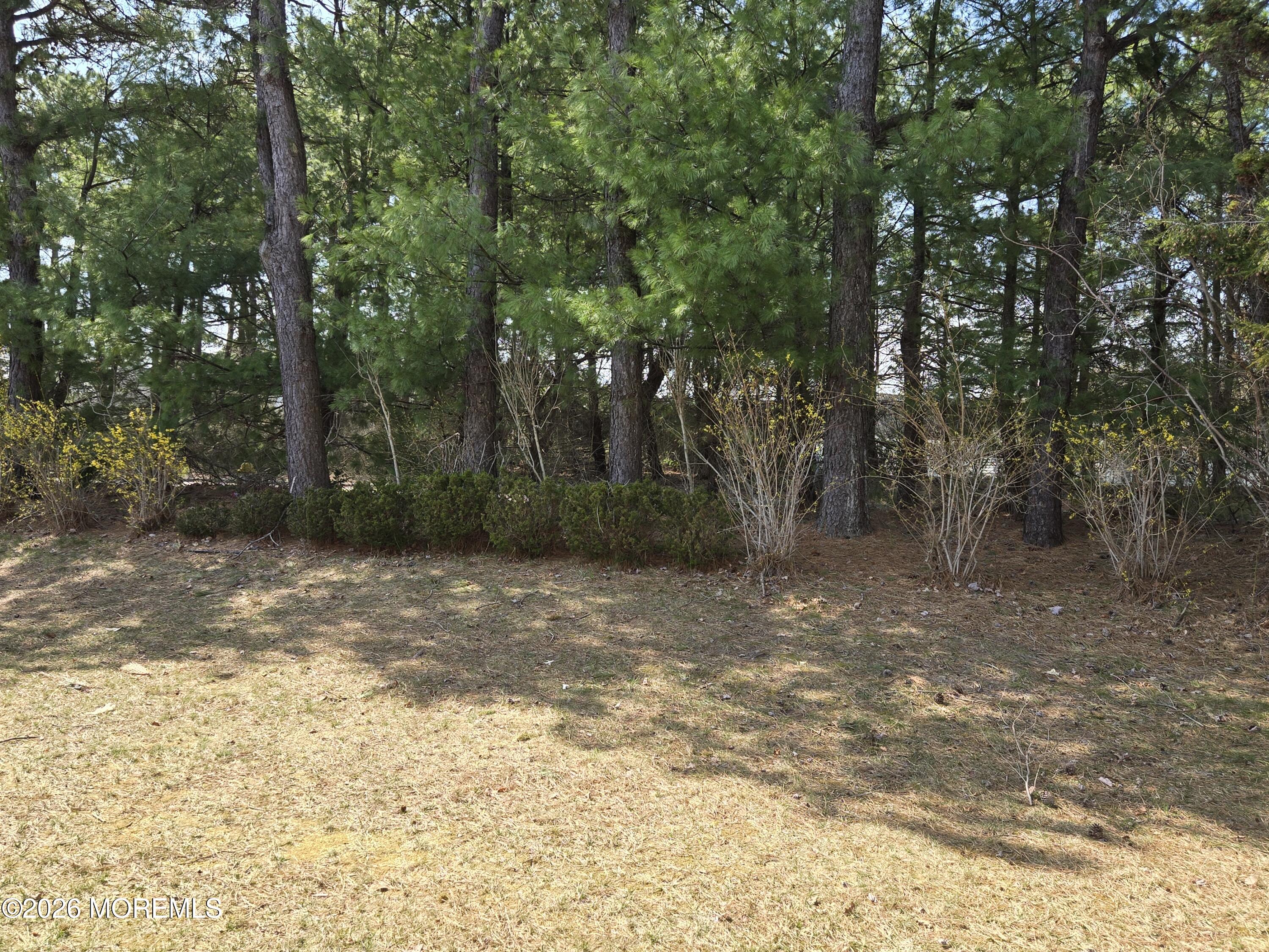 17 Trent Drive
