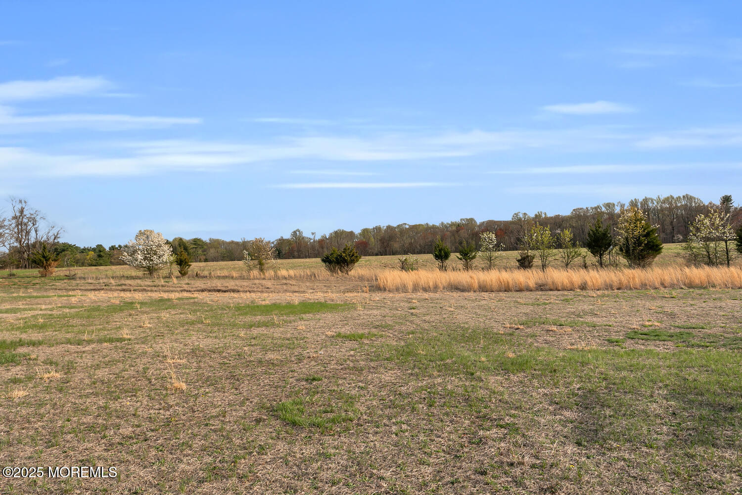 155 Robertsville Road, Freehold, New Jersey image 50