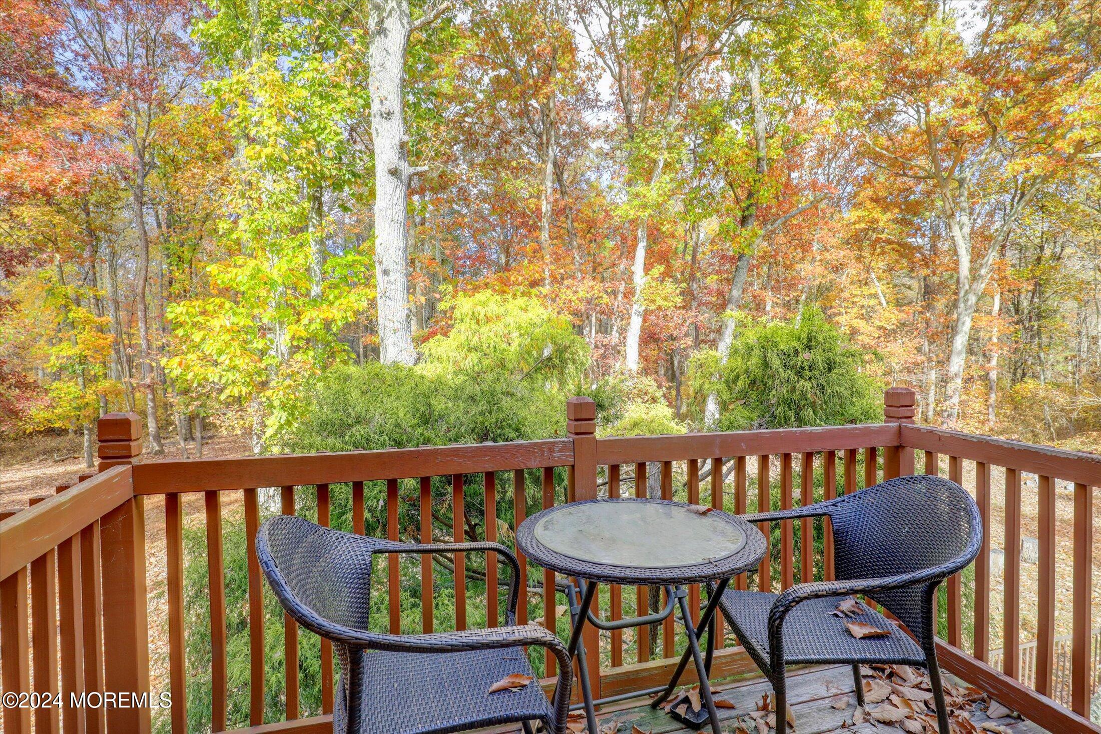 9 Rutherford Court, Jackson, New Jersey image 28