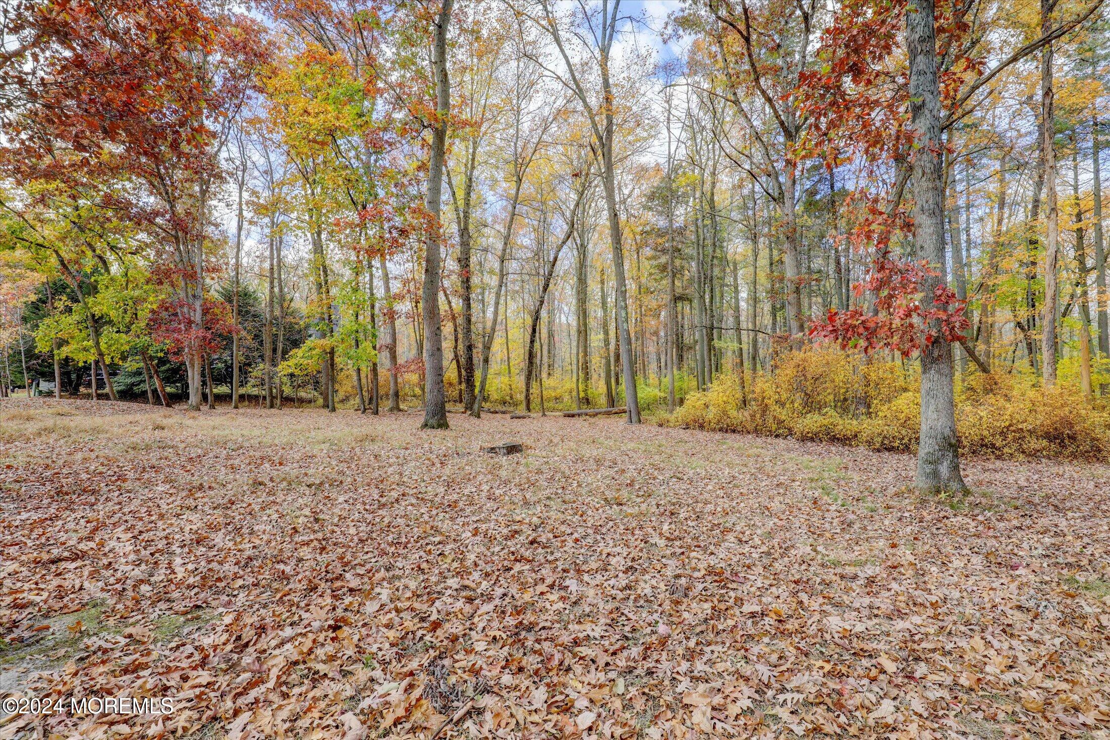 9 Rutherford Court, Jackson, New Jersey image 45
