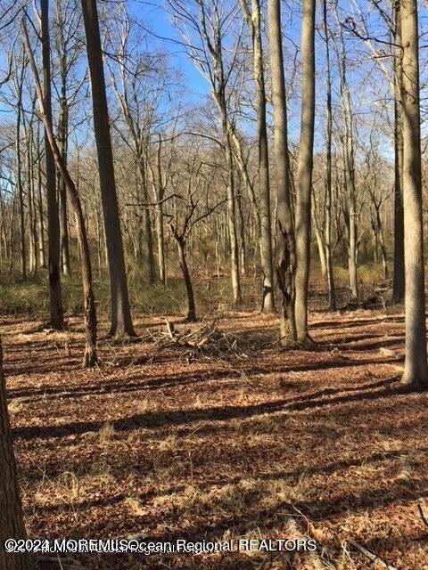 45 Iron Ore Road, Manalapan, New Jersey image 25