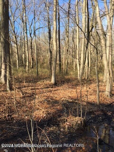 45 Iron Ore Road, Manalapan, New Jersey image 23
