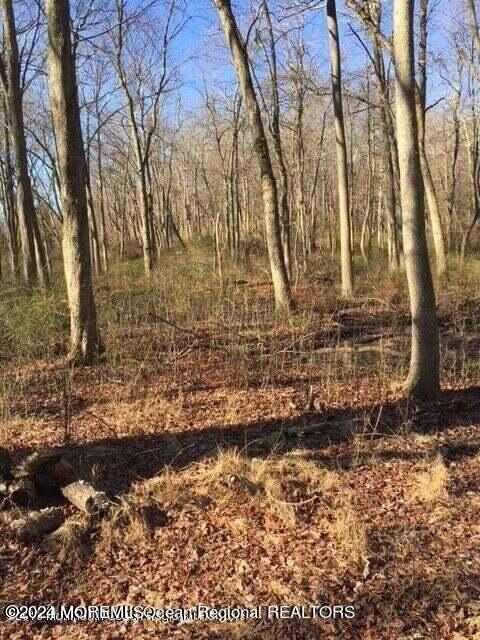 45 Iron Ore Road, Manalapan, New Jersey image 19