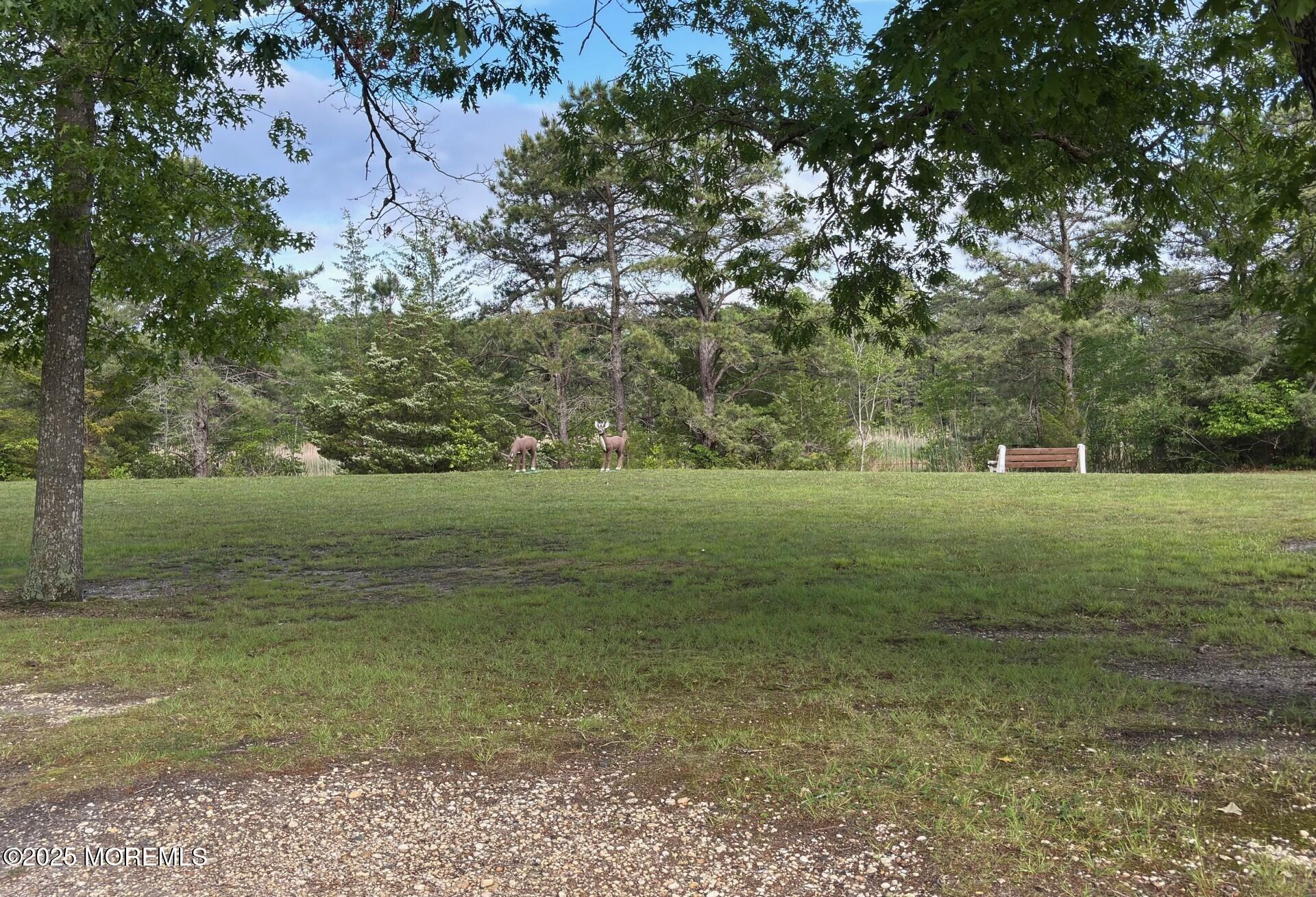 12 Sycamore Road #17, Manahawkin, New Jersey image 22