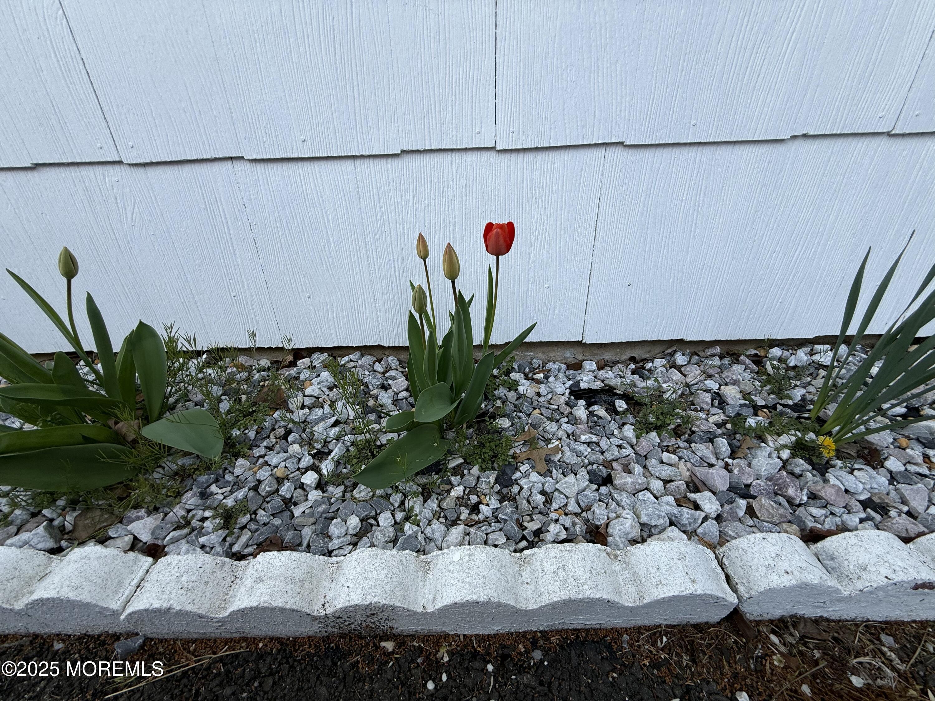 20 Lamb Road, Brick, New Jersey image 16