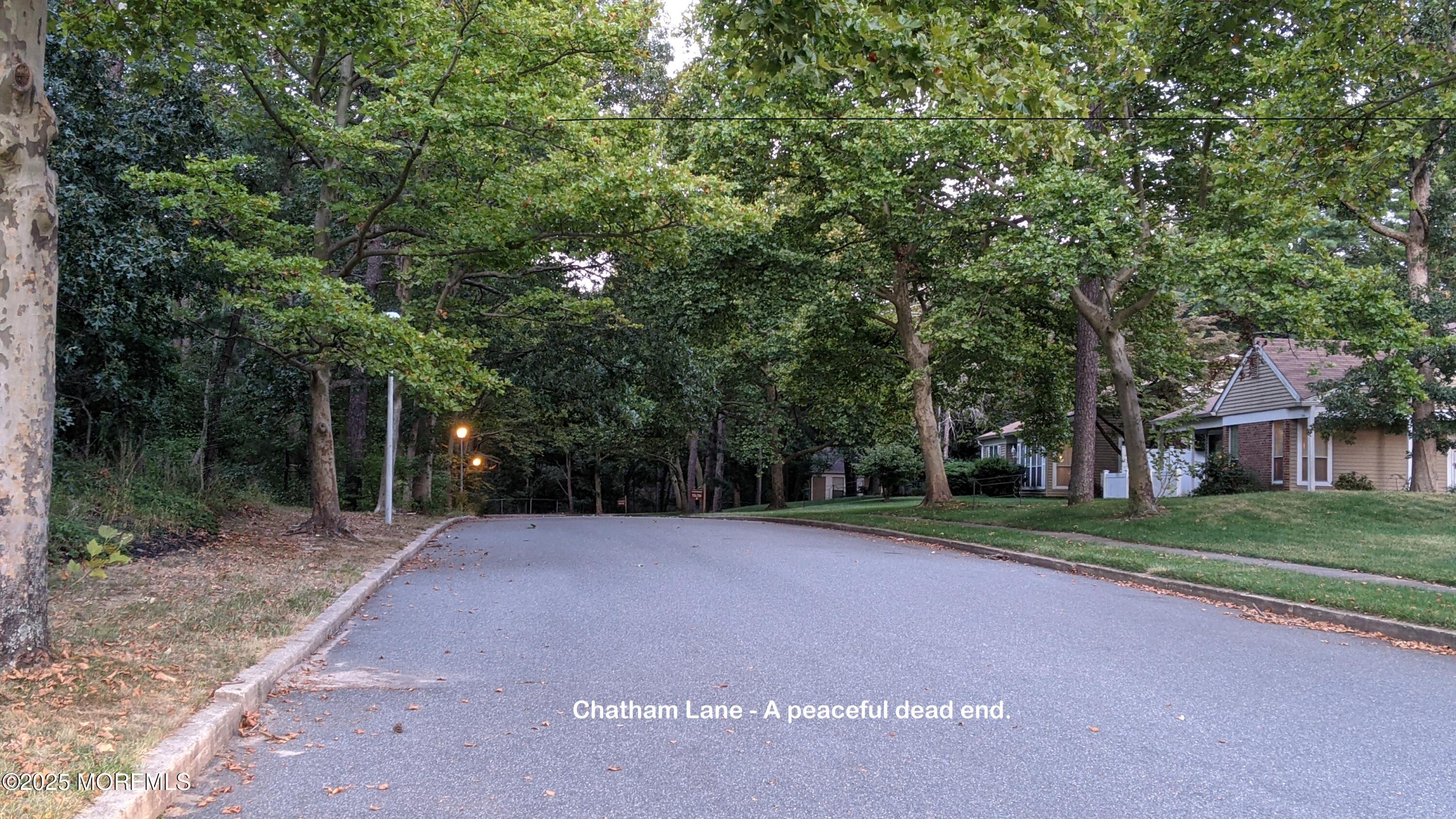 731A Chatham Lane, Manchester, New Jersey image 37