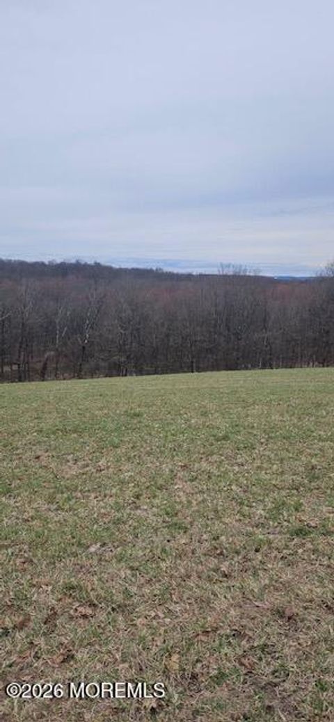 Vacant Land For Sale - County Road 519<br/> Sussex County, Wantage, NJ 07461