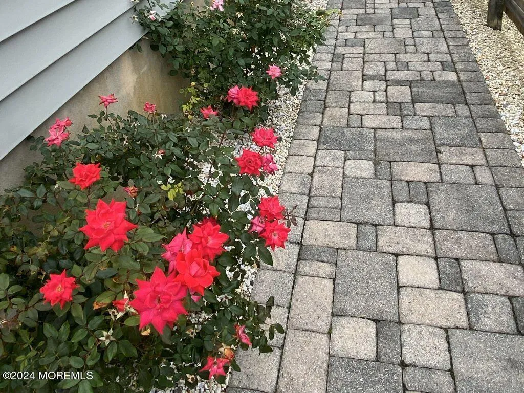 Ship Bottom, New Jersey 08008, United States, 3 Bedrooms Bedrooms, ,2 BathroomsBathrooms,Residential,Active,87587