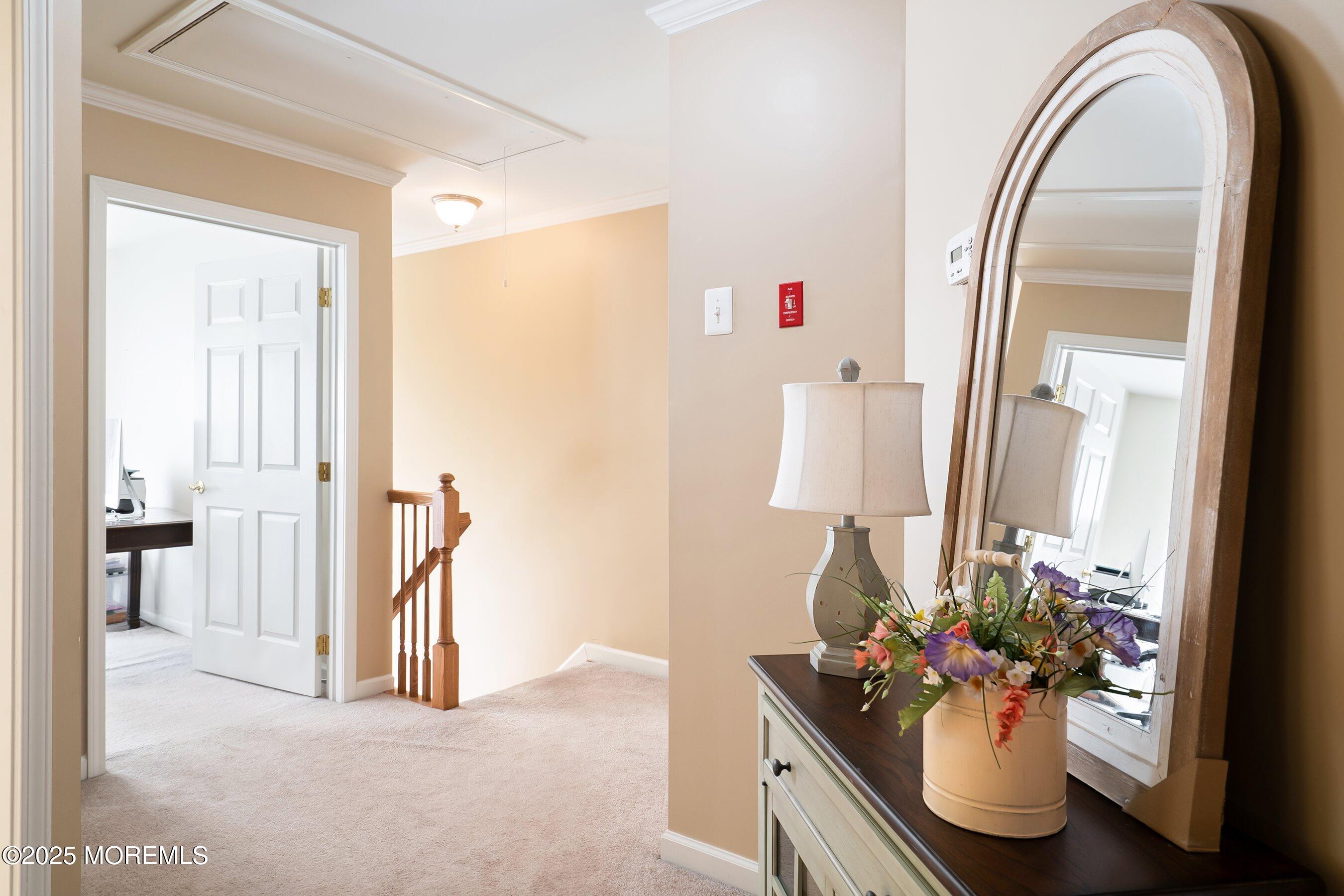 4 Sandra Court #2743, Old Bridge, New Jersey image 22