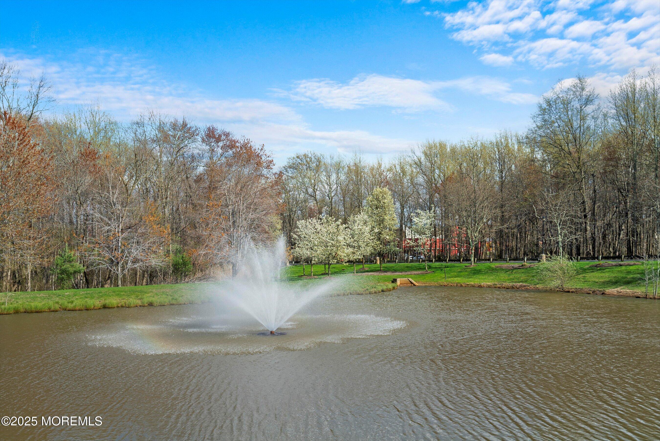 4 Sandra Court #2743, Old Bridge, New Jersey image 44