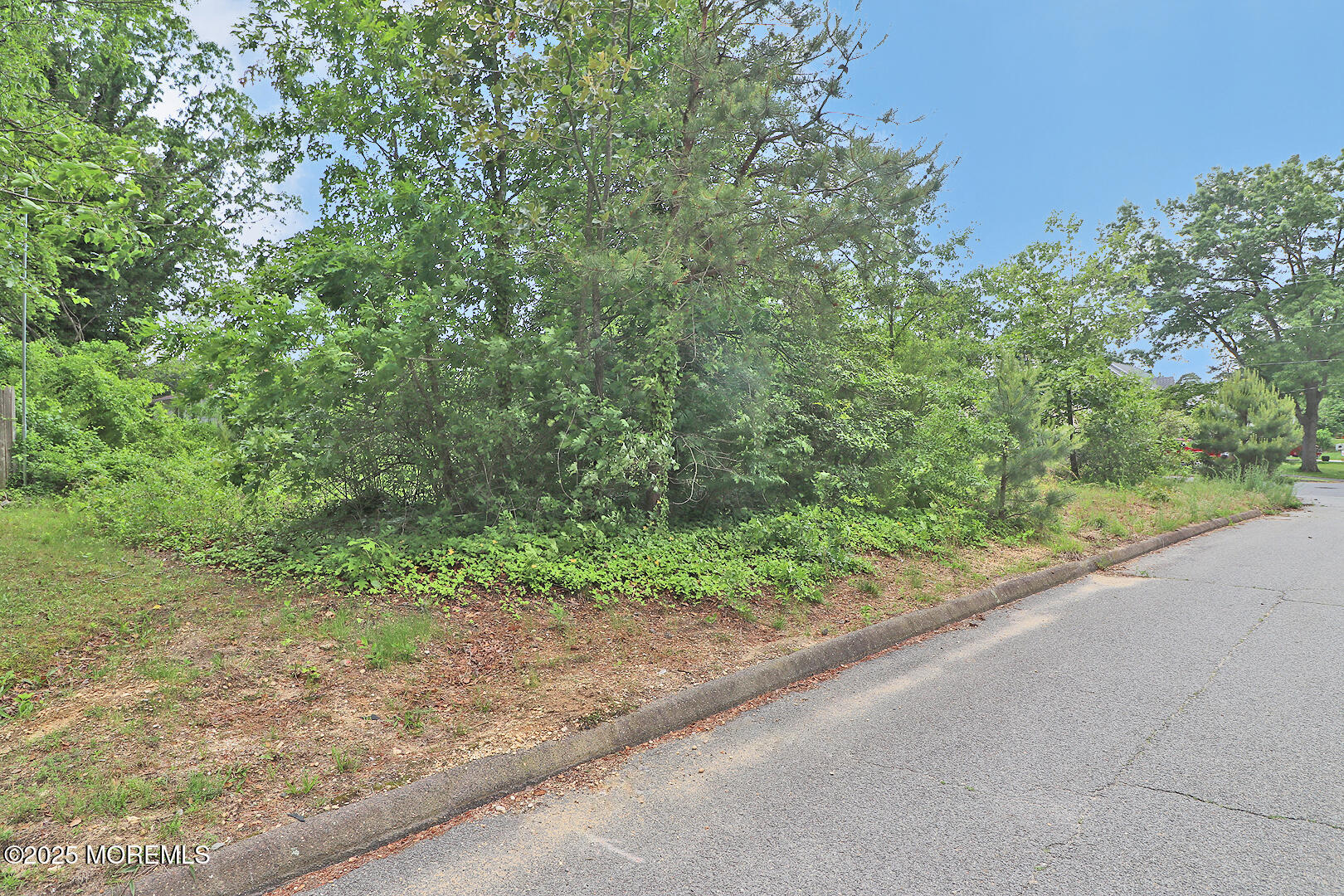 1600 Lawrence Avenue, Toms River, New Jersey image 5