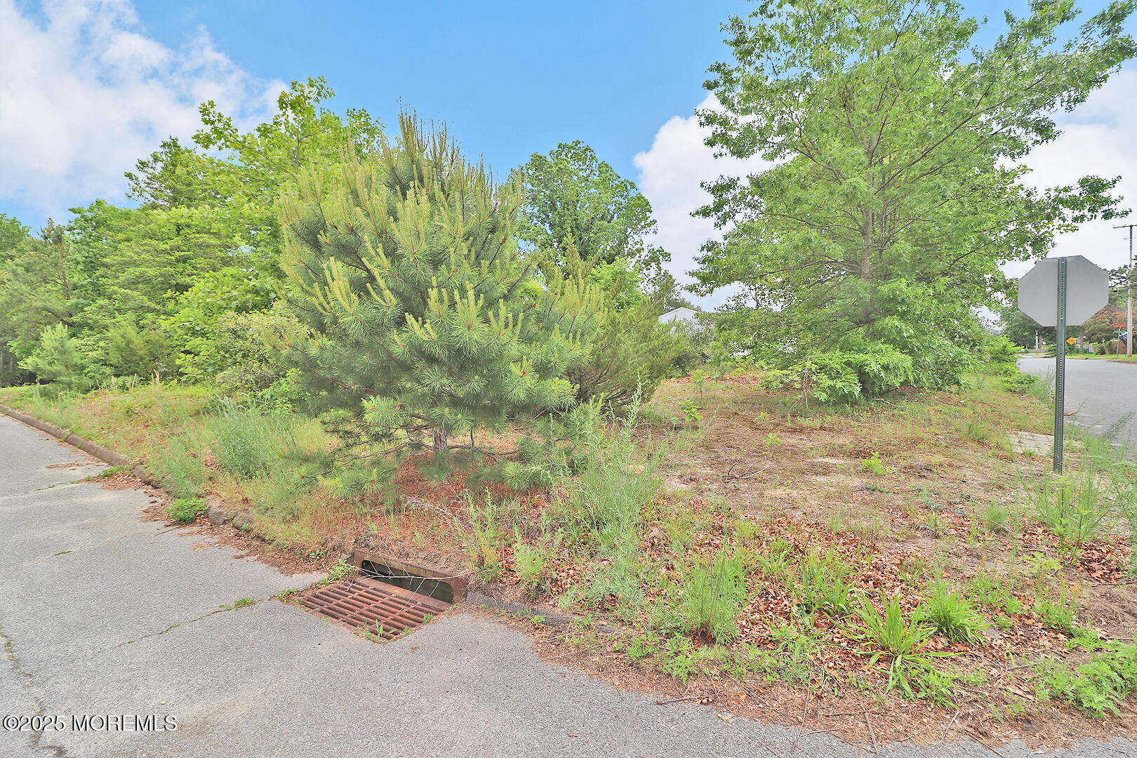 1600 Lawrence Avenue, Toms River, New Jersey image 6