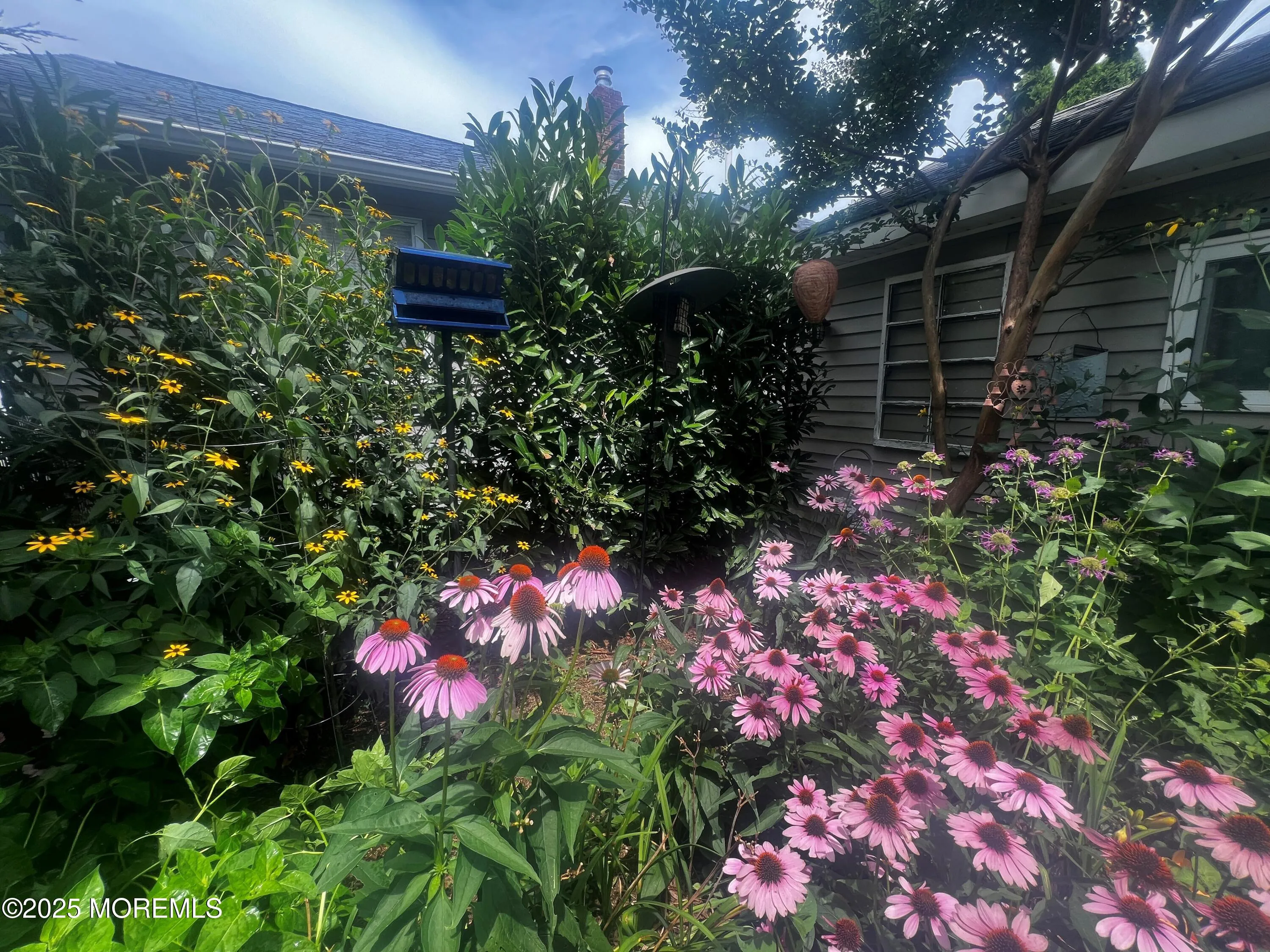 Belmar, New Jersey 07719, United States, 2 Bedrooms Bedrooms, ,1 BathroomBathrooms,Residential,Active,179802