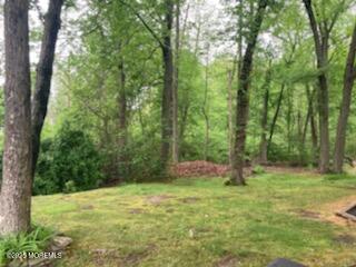 100 Gravel Hill Spotswood Road, Monroe Township, New Jersey image 4