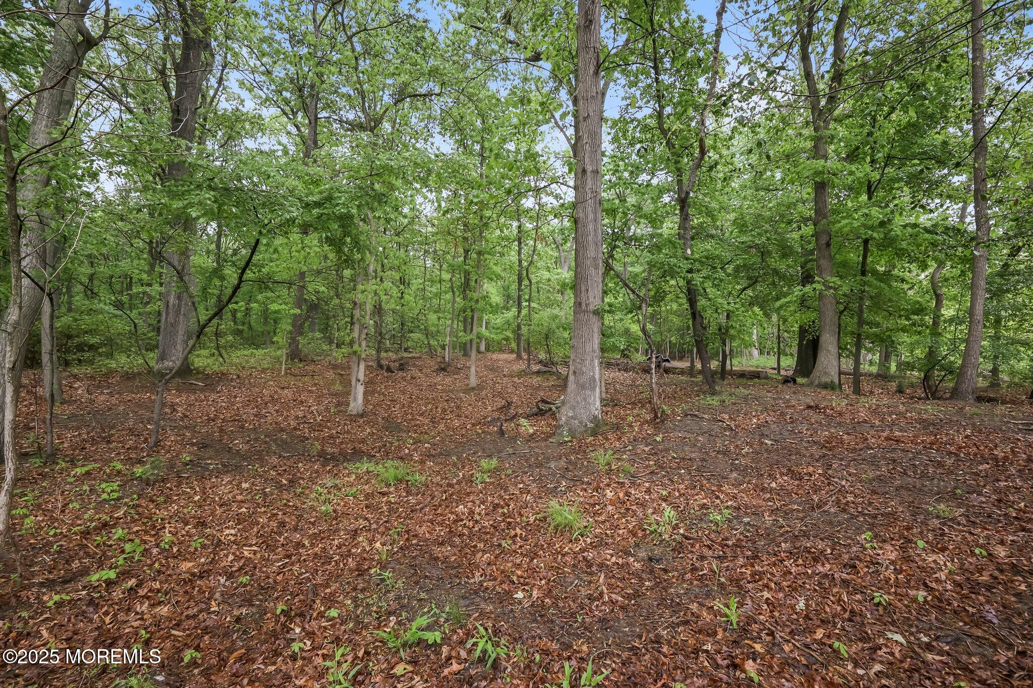 164 Lemon Road, Farmingdale, New Jersey image 45