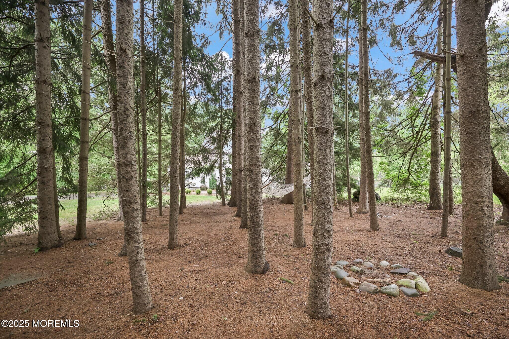 164 Lemon Road, Farmingdale, New Jersey image 46