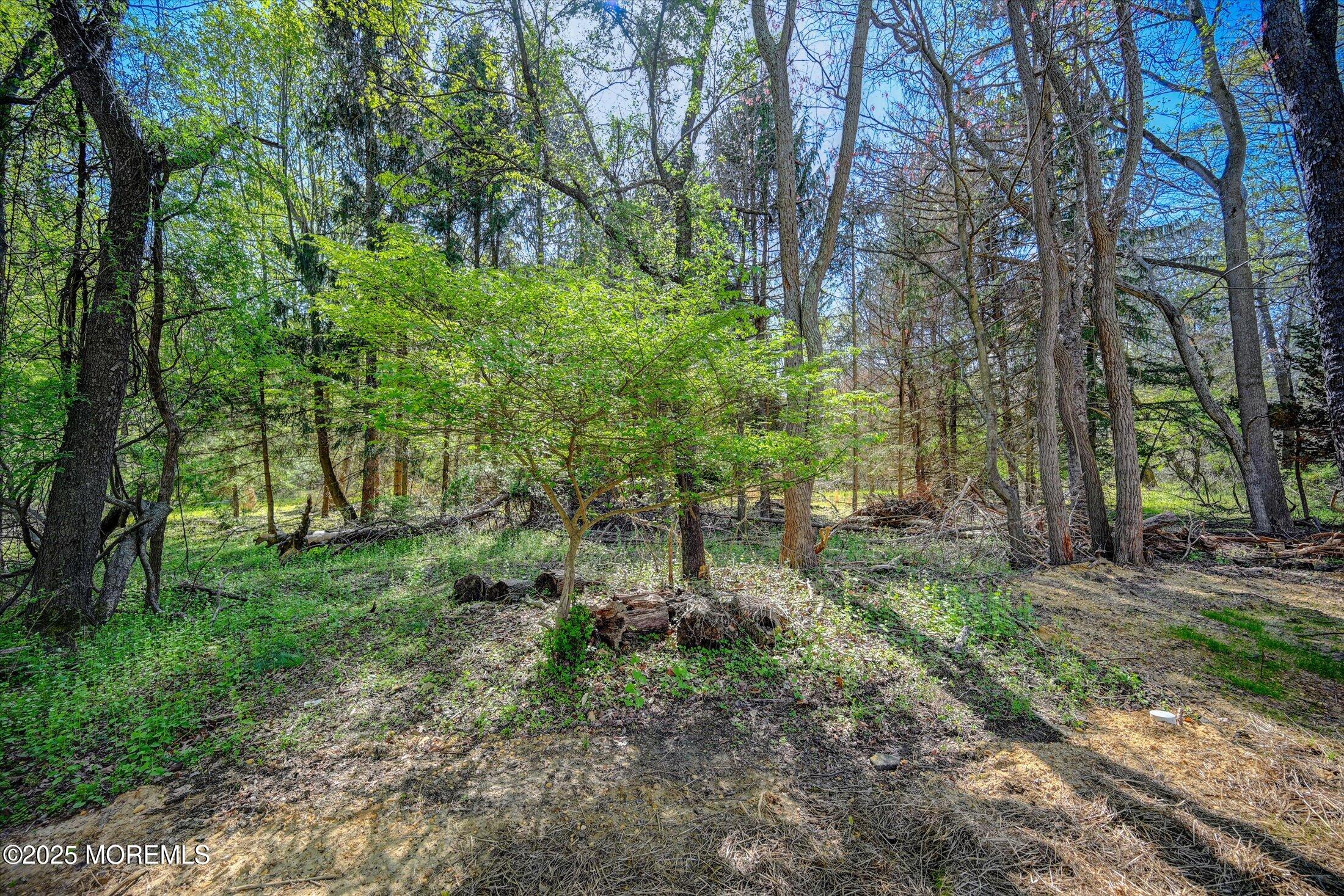23 Bittner Road, Millstone, New Jersey image 34