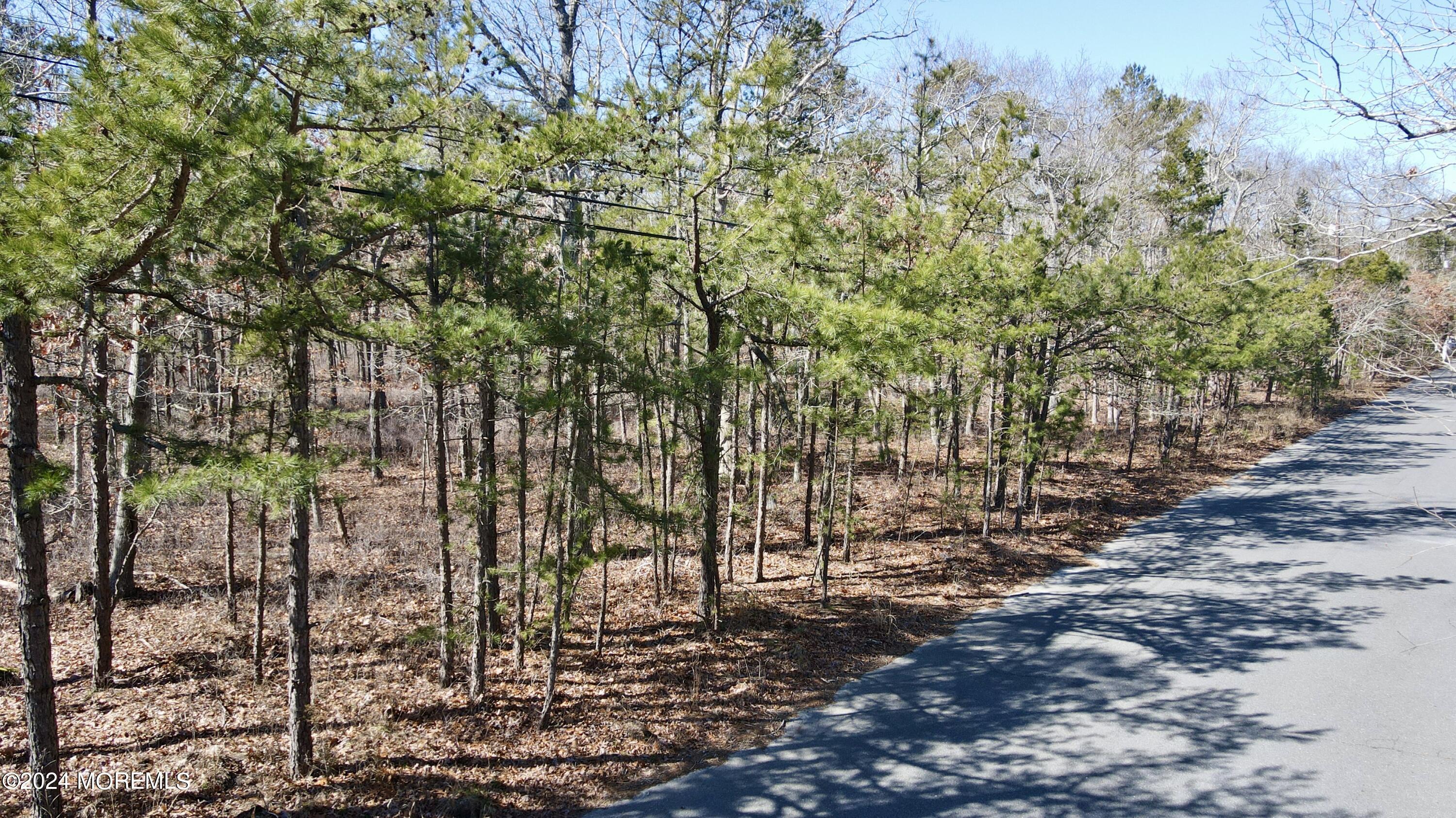 Coxs Crossing Road, West Creek, New Jersey image 2