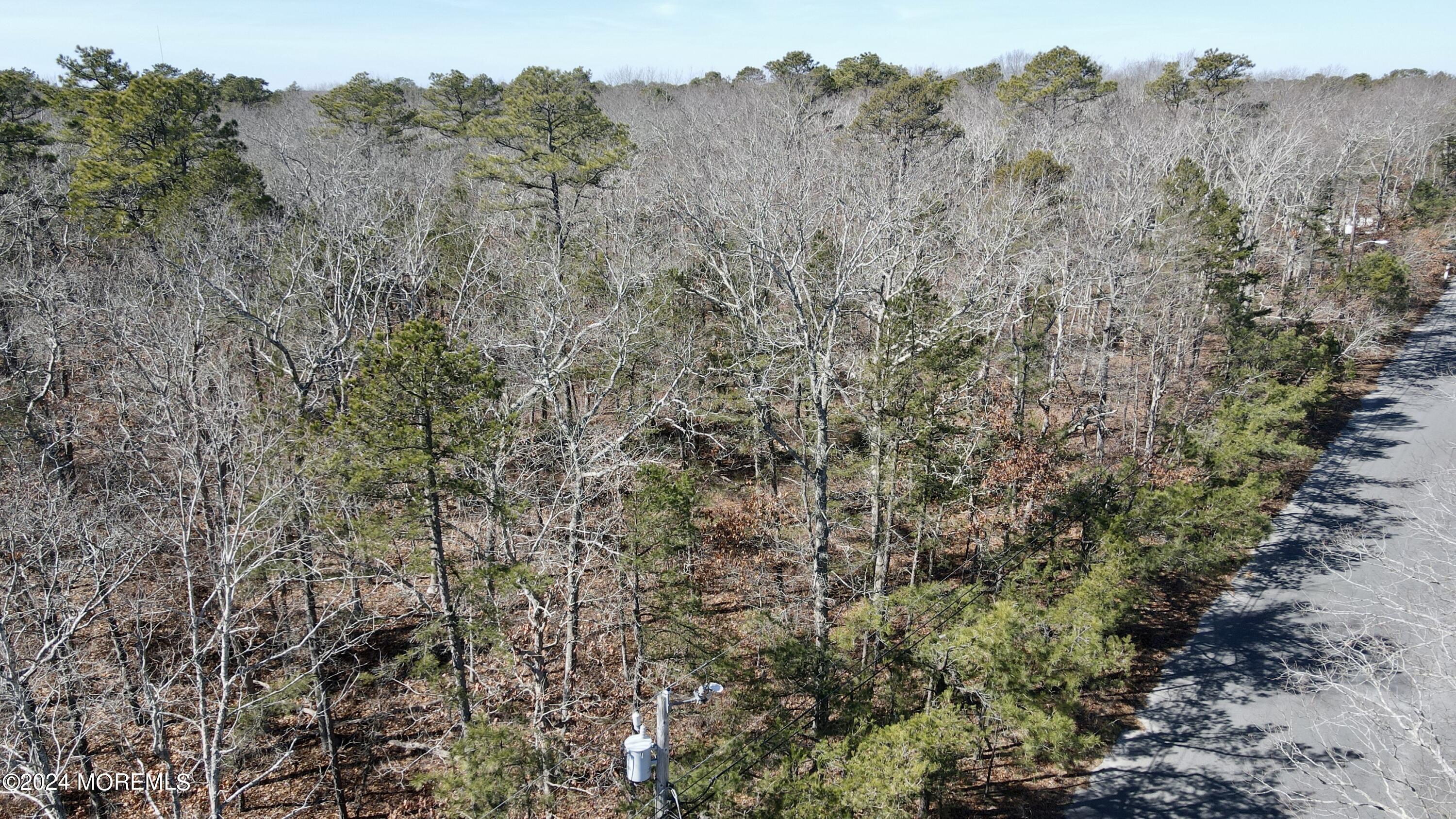 Coxs Crossing Road, West Creek, New Jersey image 3