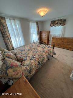 11 Mary Jeanne Lane, Manahawkin, New Jersey image 13