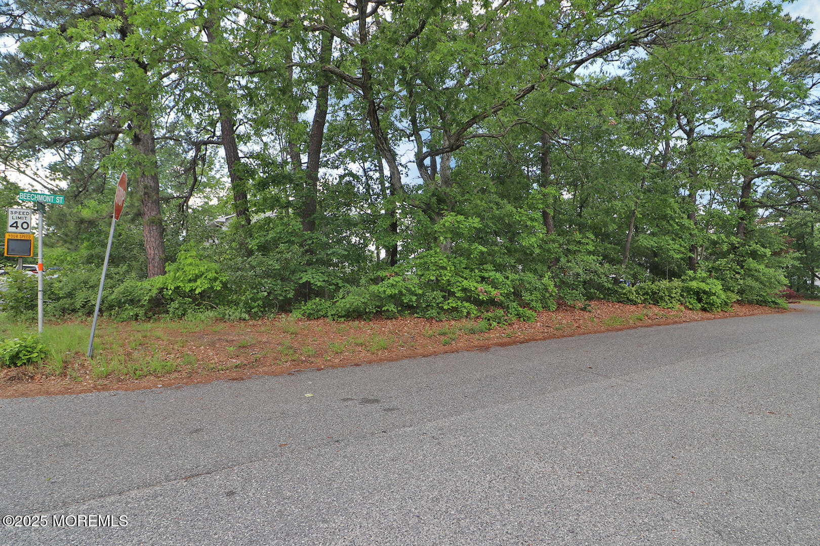 1151 Beechmont Street, Toms River, New Jersey image 7