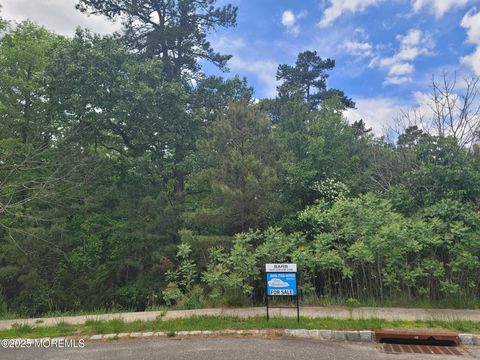 Vacant Land For Sale - 138 Hemlock Drive<br/> New Egypt, NJ 08533