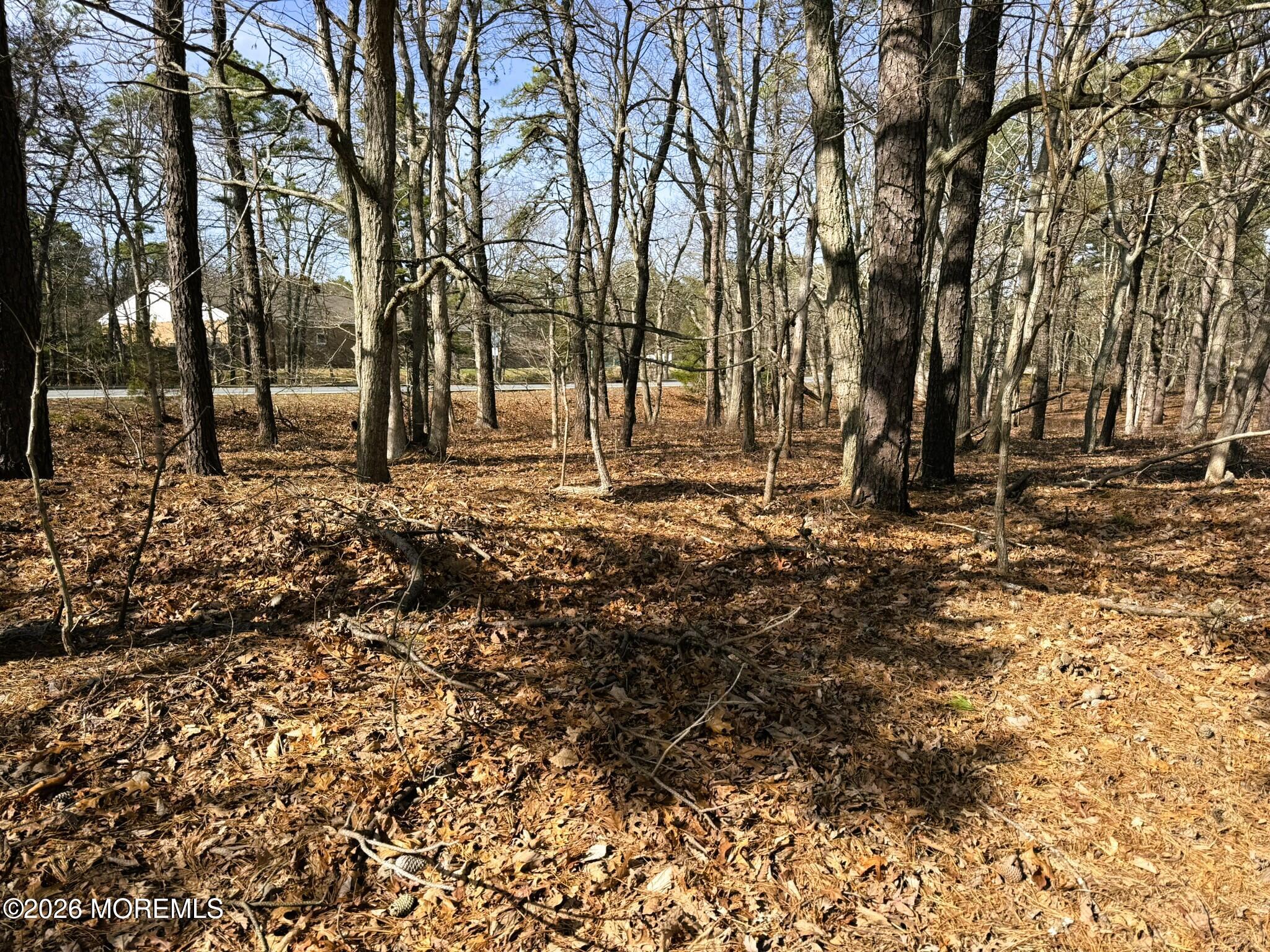 17 Pinewood Drive