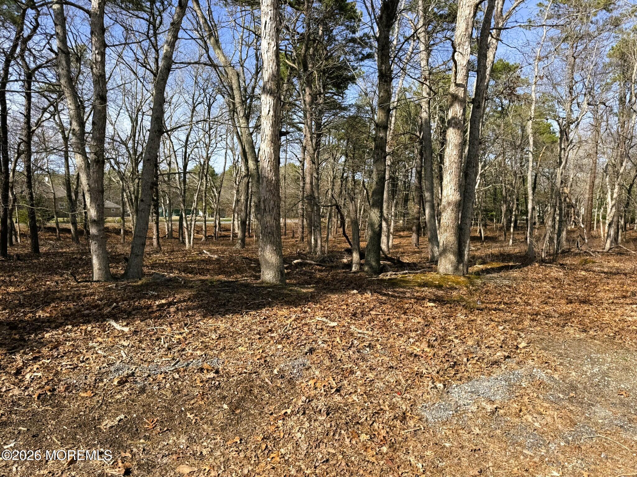 17 Pinewood Drive