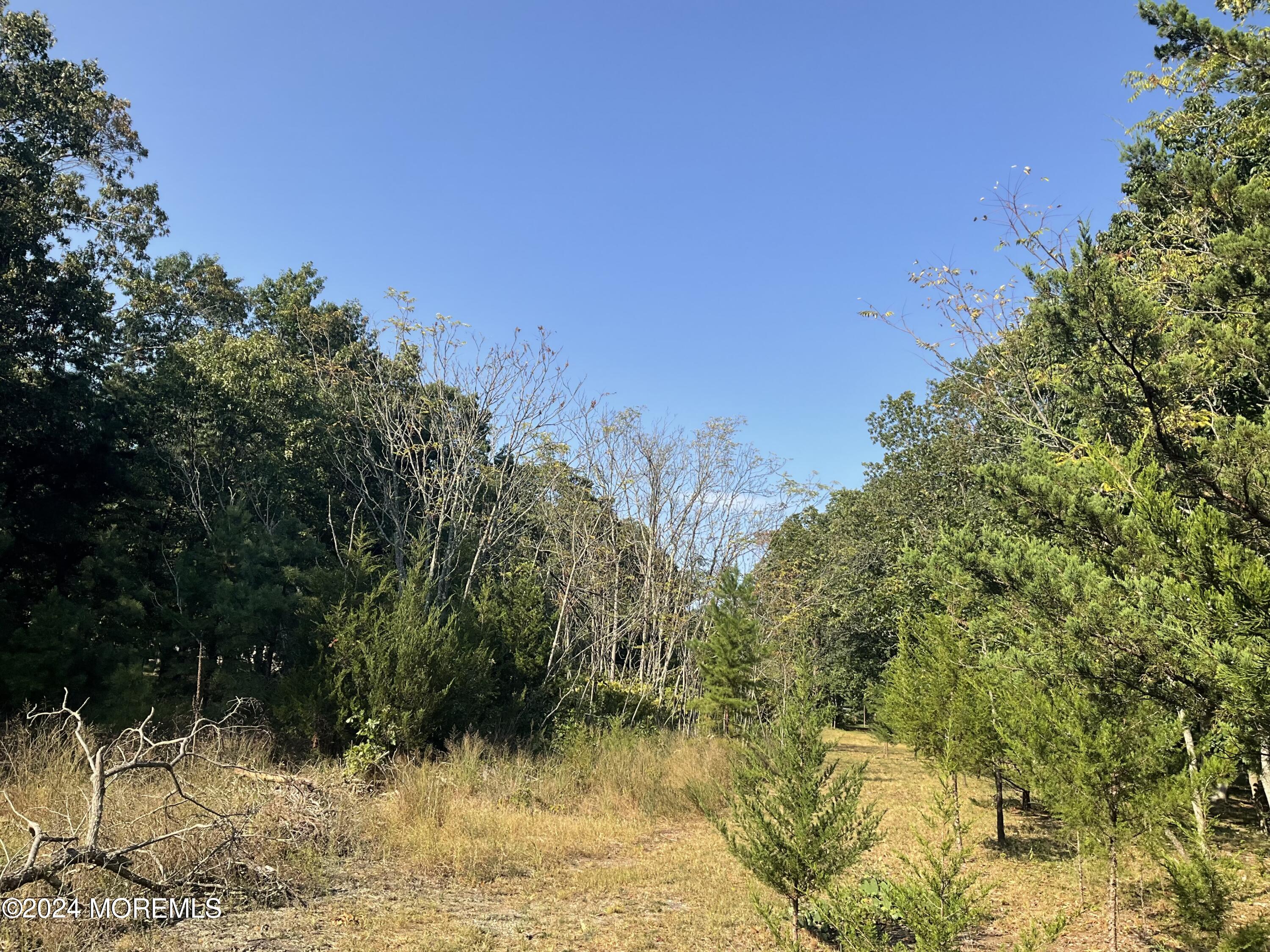 1350 Toms River Road, Jackson, New Jersey image 6