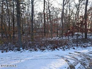 1031 W Bay Avenue, Barnegat, New Jersey image 1