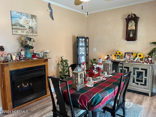 23 W Susquehanna Drive, Little Egg Harbor, New Jersey image 33