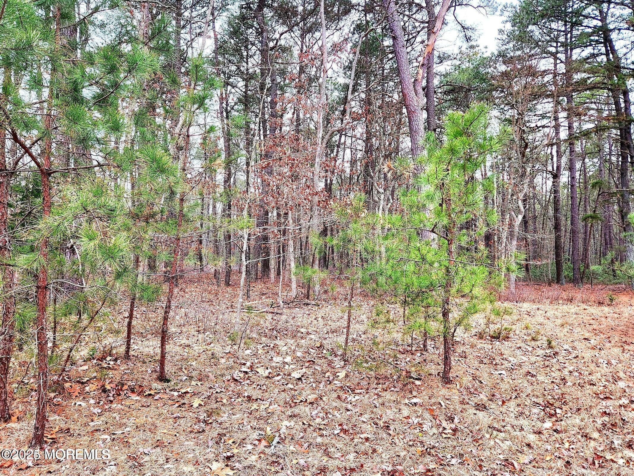 64 Park Avenue, Jackson, New Jersey image 3