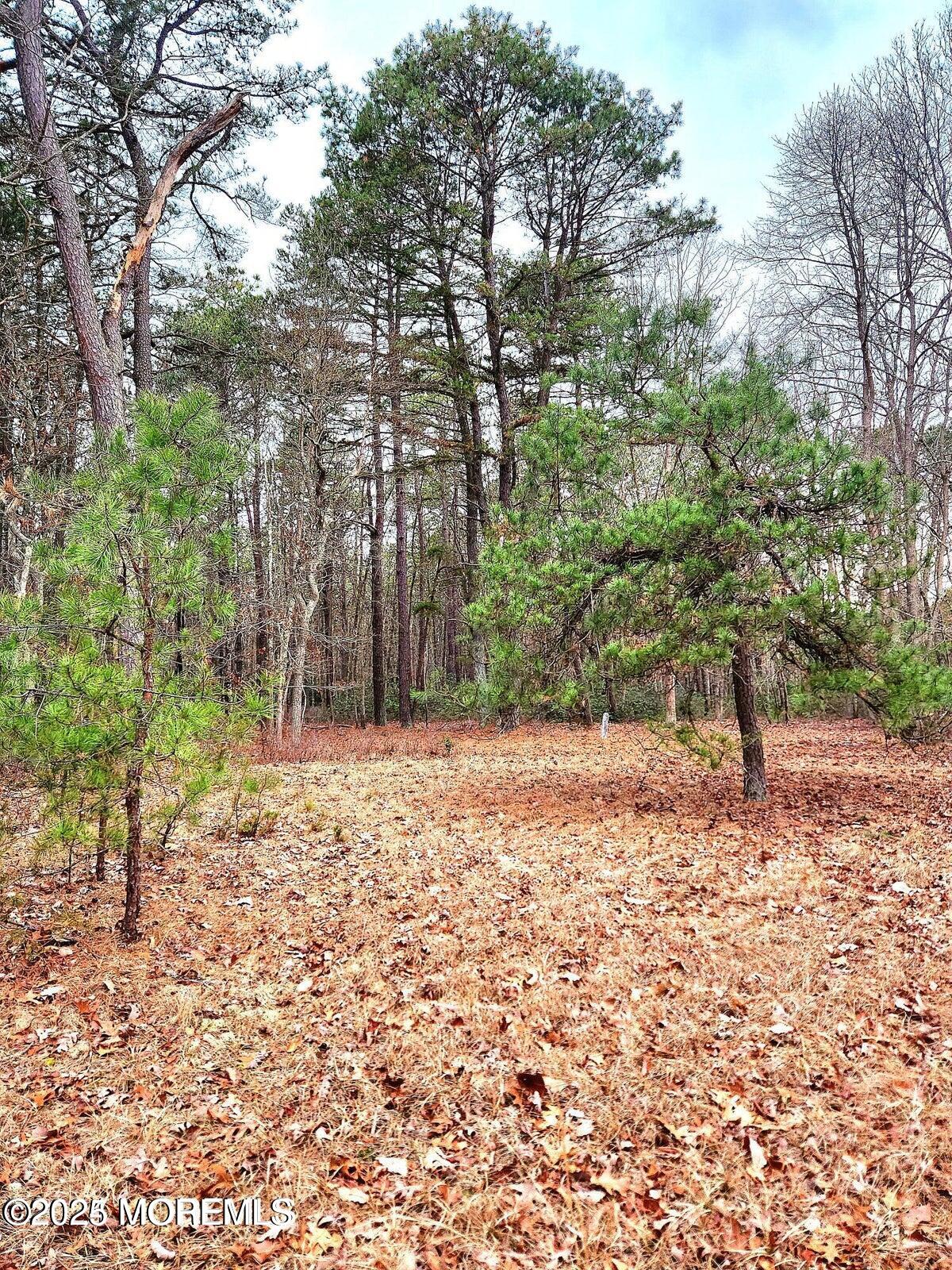 64 Park Avenue, Jackson, New Jersey image 4