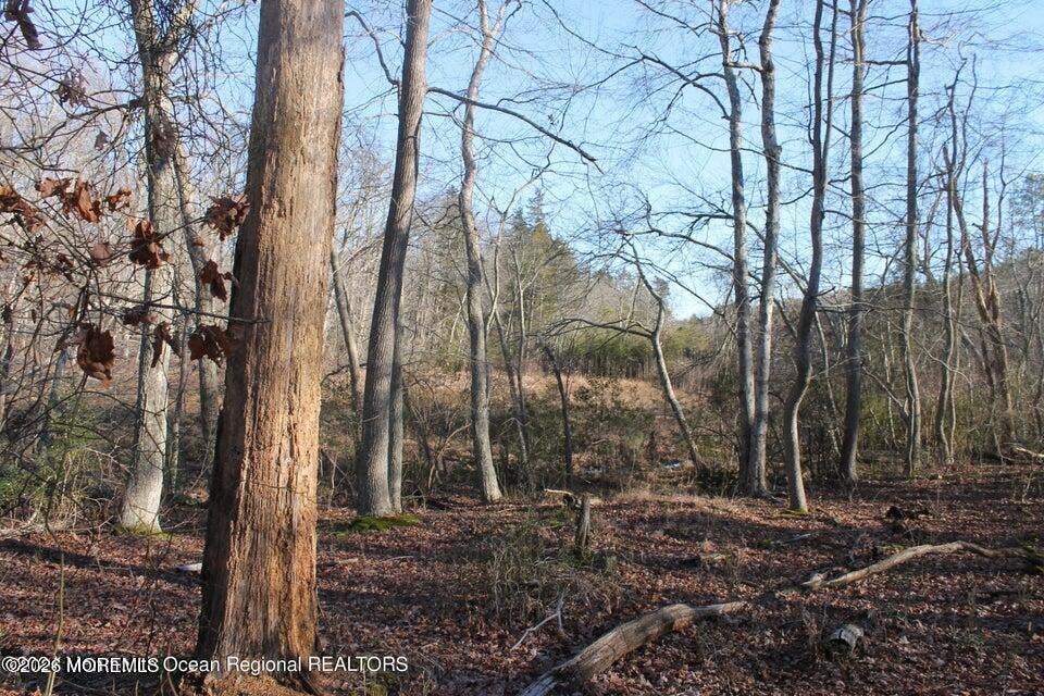 217 Brookville Road