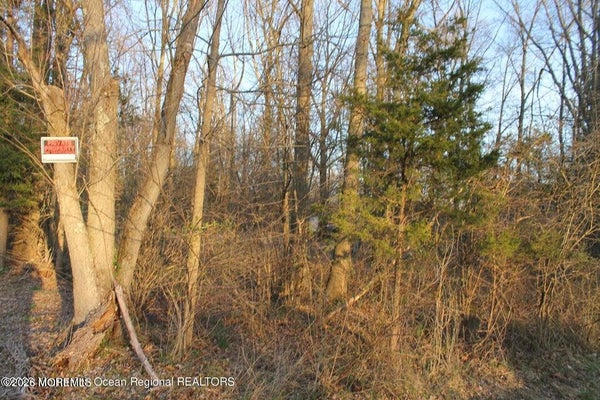217 BROOKVILLE RD, BARNEGAT, NJ 08005 - Image 3df4af37c7ea5f166a1902a5b8673bf4/851480744