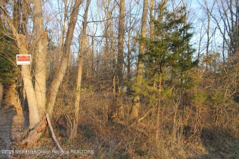 Vacant Land For Sale - 217 Brookville Road<br/> Barnegat, NJ 08005