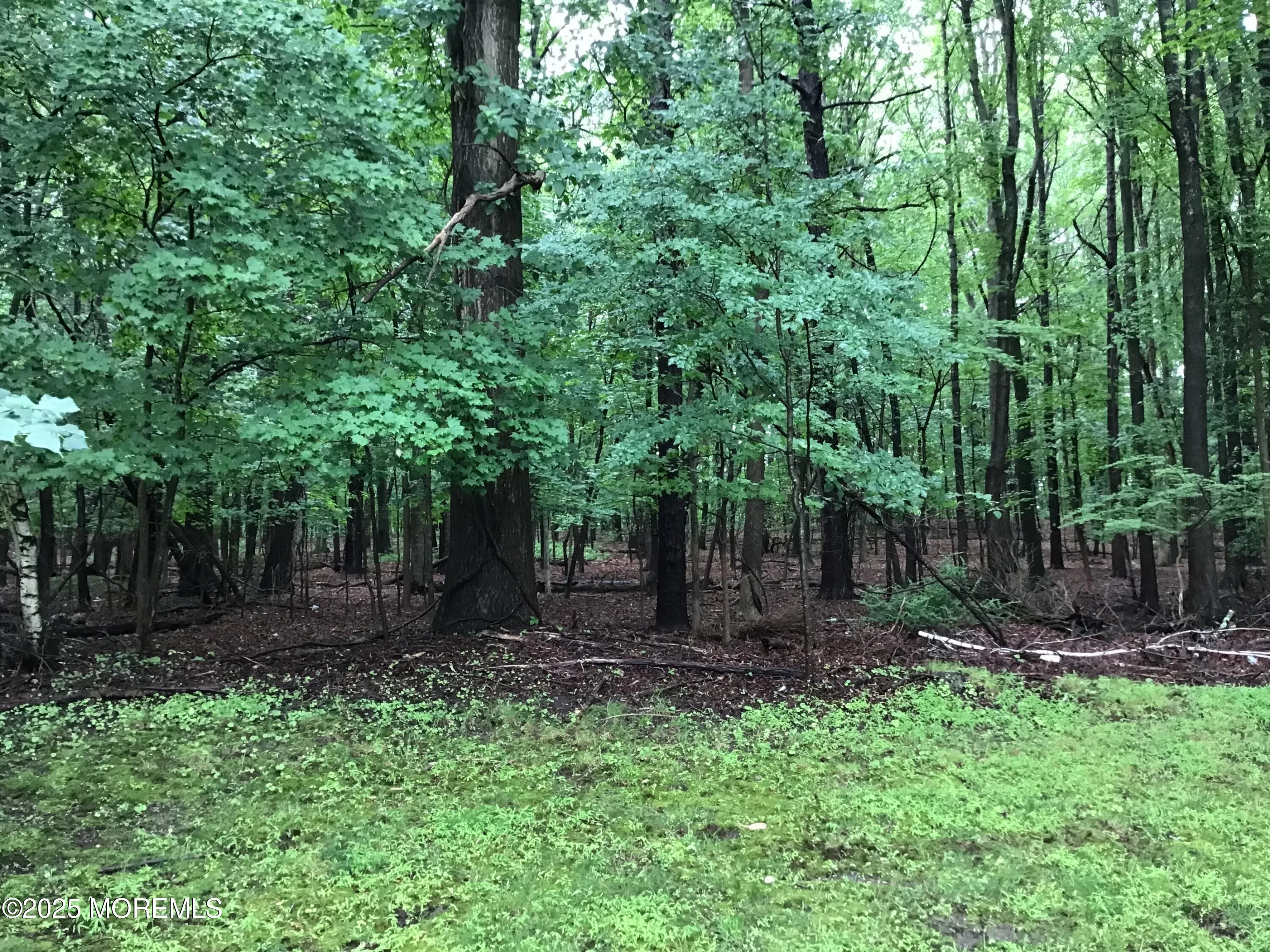 Manalapan, New Jersey 07726, United States, 2 Bedrooms Bedrooms, ,2 BathroomsBathrooms,Residential,Active,156611