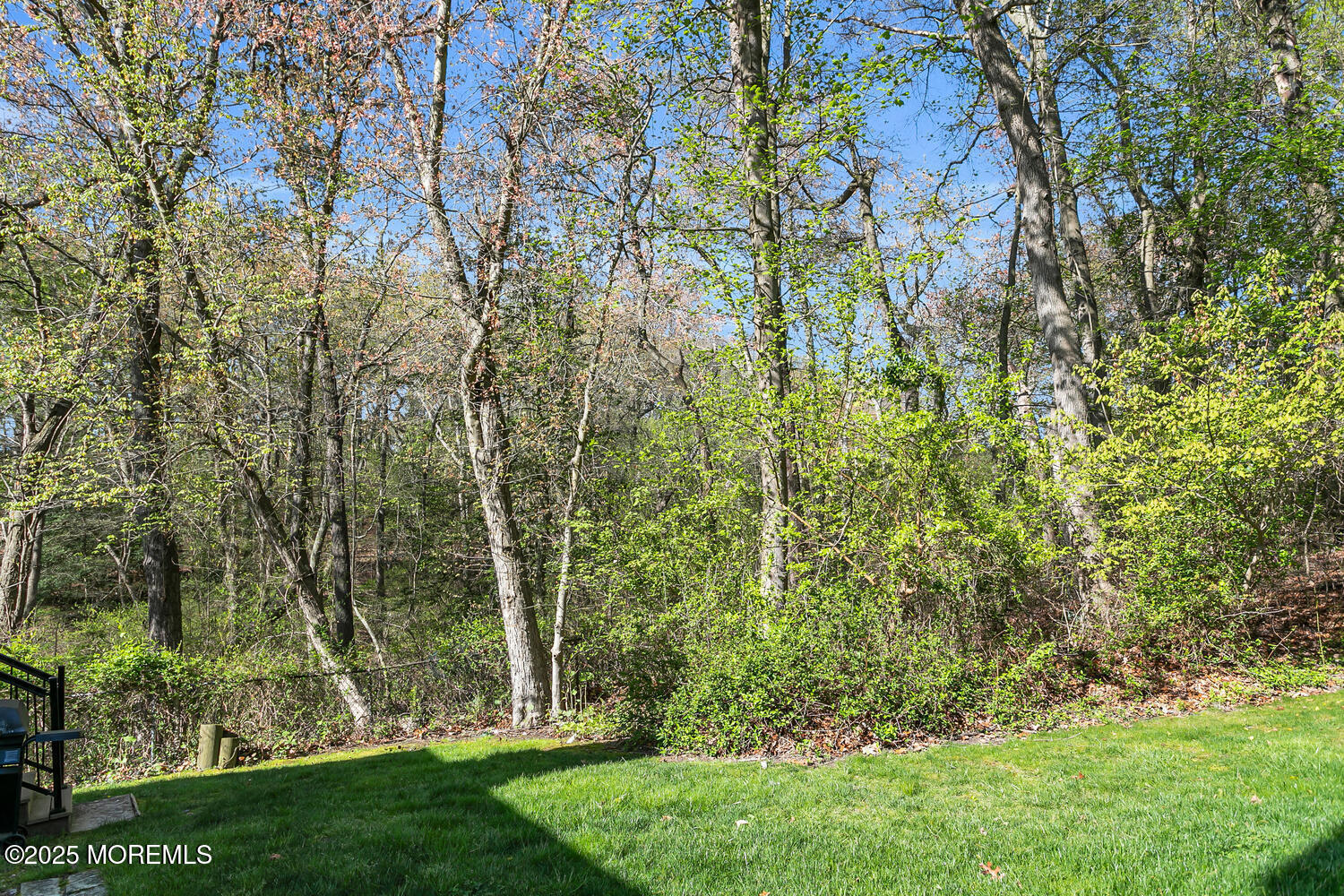31 Mulberry Court #B, Brielle, New Jersey image 30