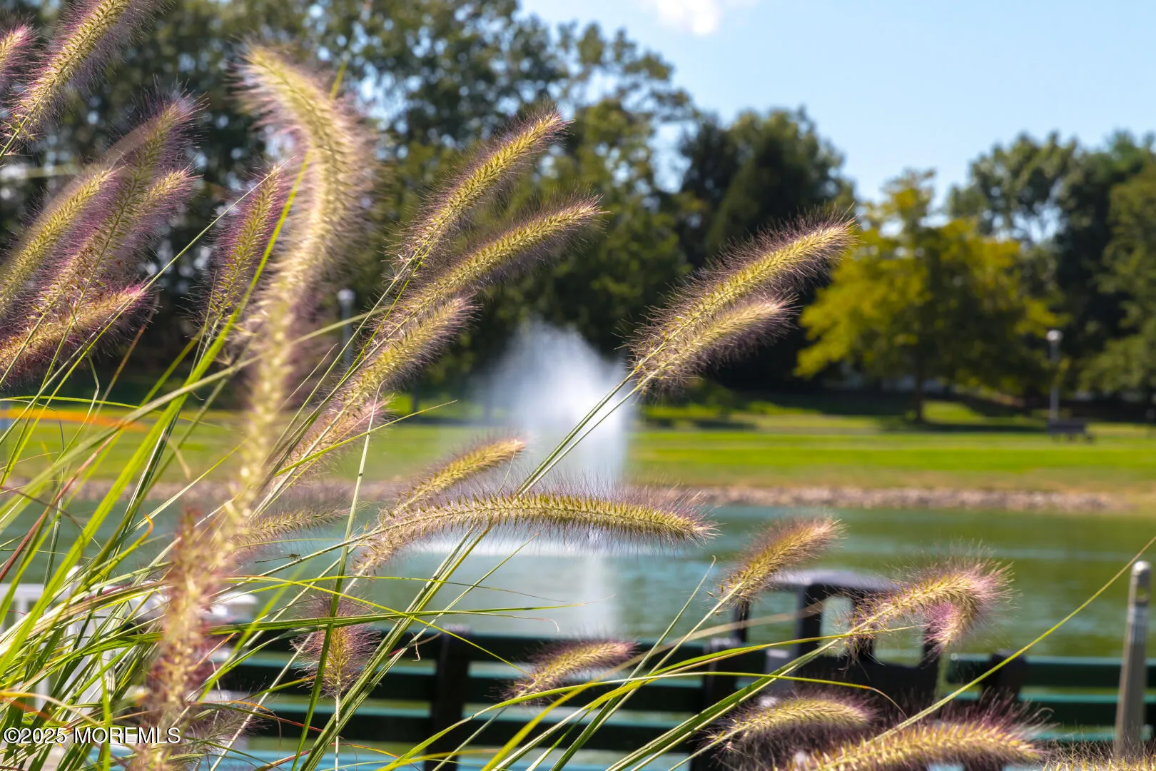 Lakewood, New Jersey 08701, United States, 2 Bedrooms Bedrooms, ,2 BathroomsBathrooms,Residential,Active,207172