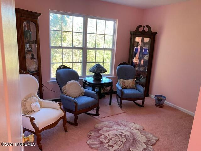 6 Oliphant Court, Little Egg Harbor, New Jersey image 20