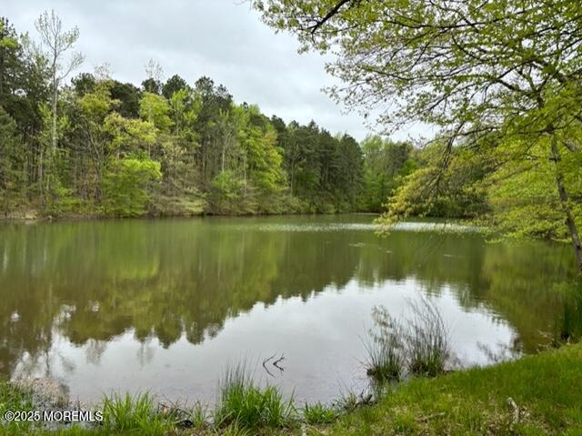 724 Monmouth Road #UNIT 26, Cream Ridge, New Jersey image 22