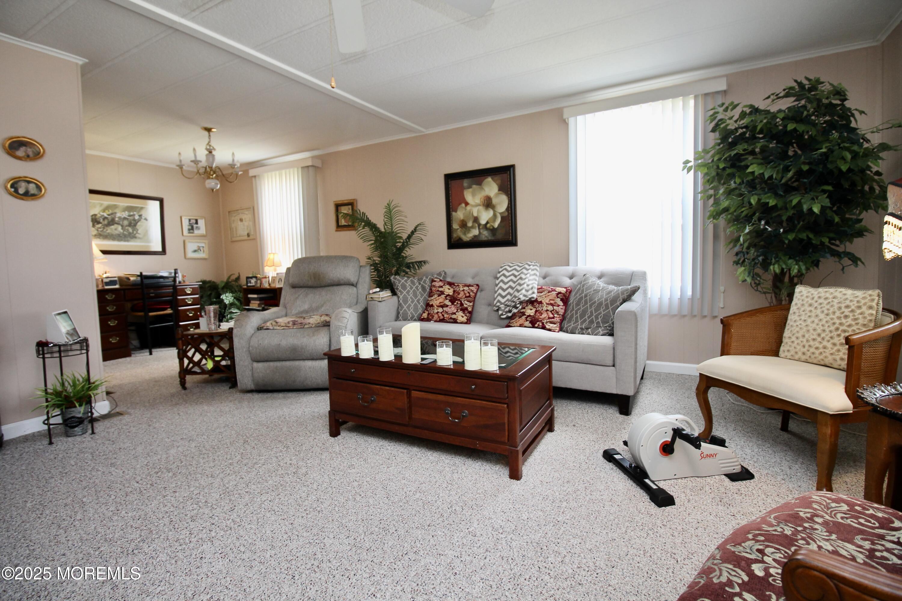 539 James Street, Freehold, New Jersey image 8