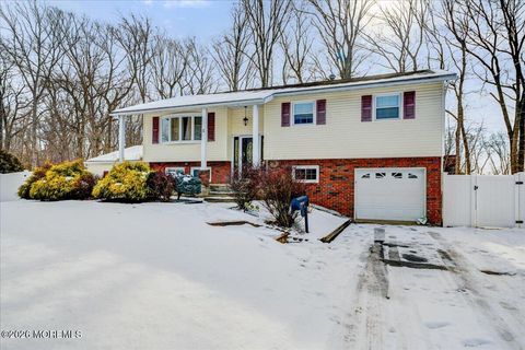 4 Willow Grove Way Manalapan NJ 07726