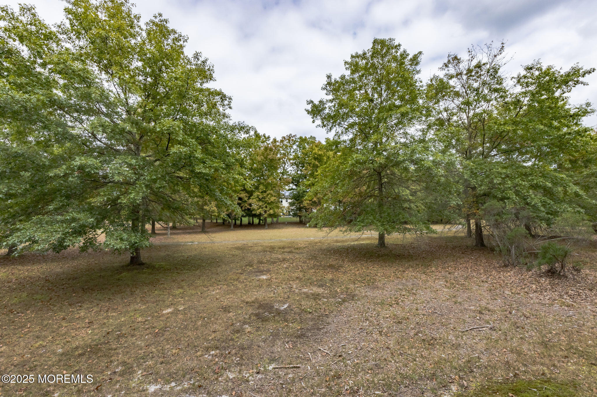 18 Mount Ranier Drive, Howell, New Jersey image 50