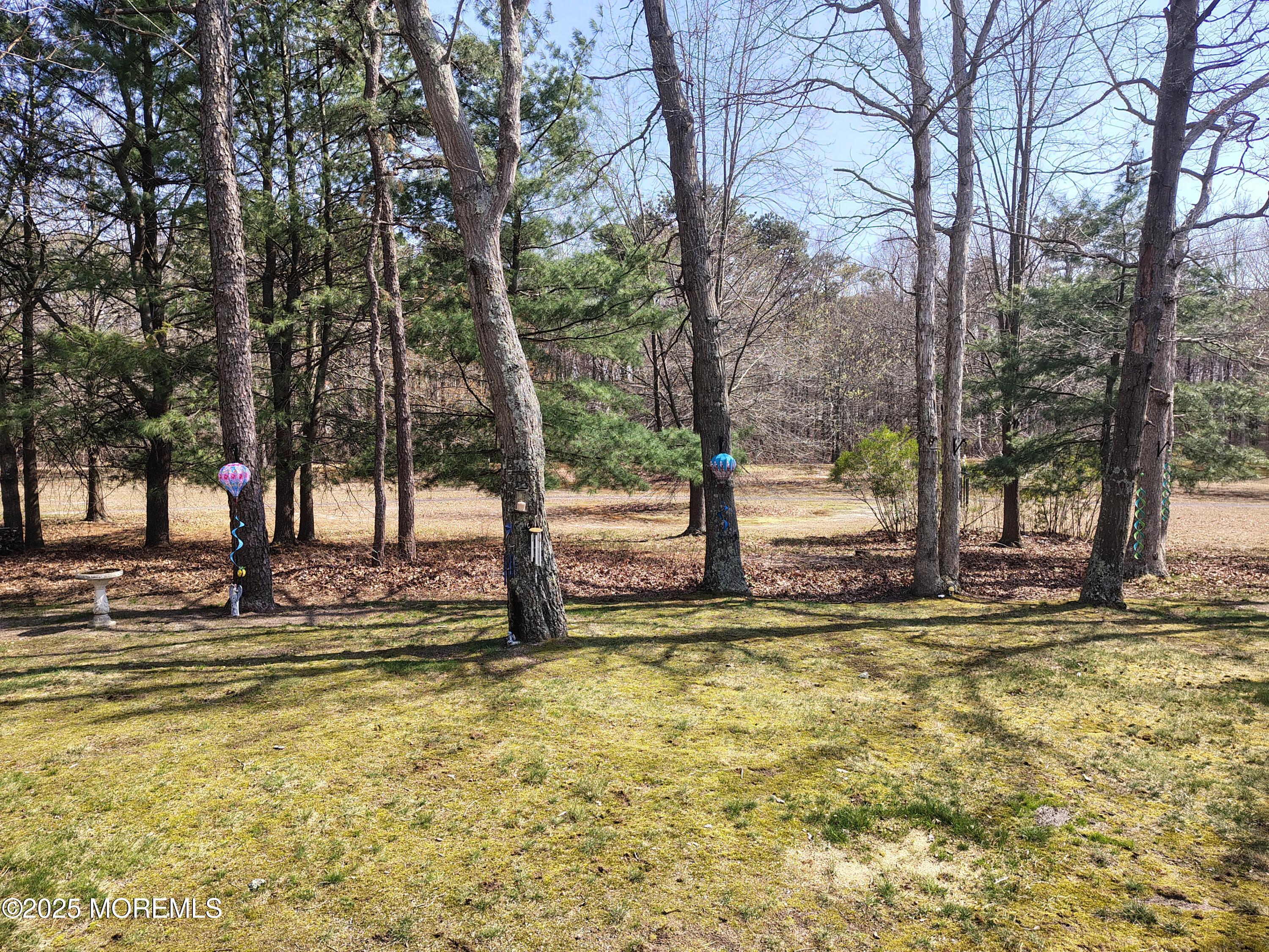 18 Mount Ranier Drive, Howell, New Jersey image 44