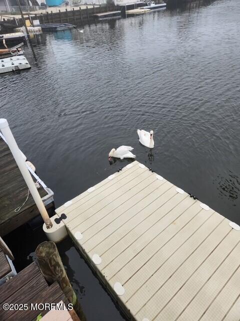 107 E Thames Road, Little Egg Harbor, New Jersey image 31