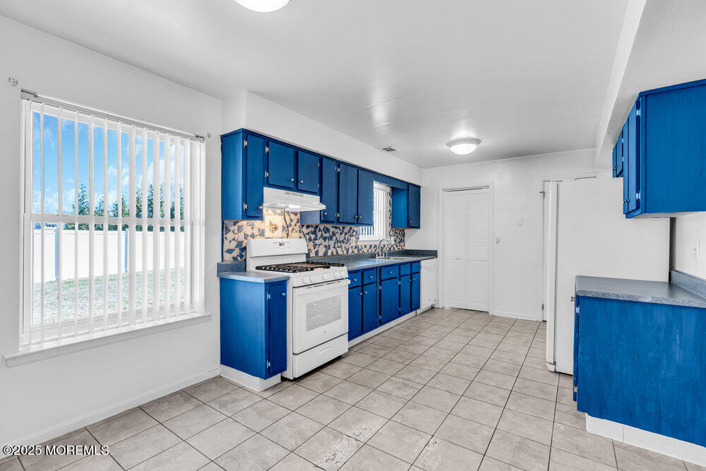 101 Bristlecone Drive, Howell, New Jersey image 11