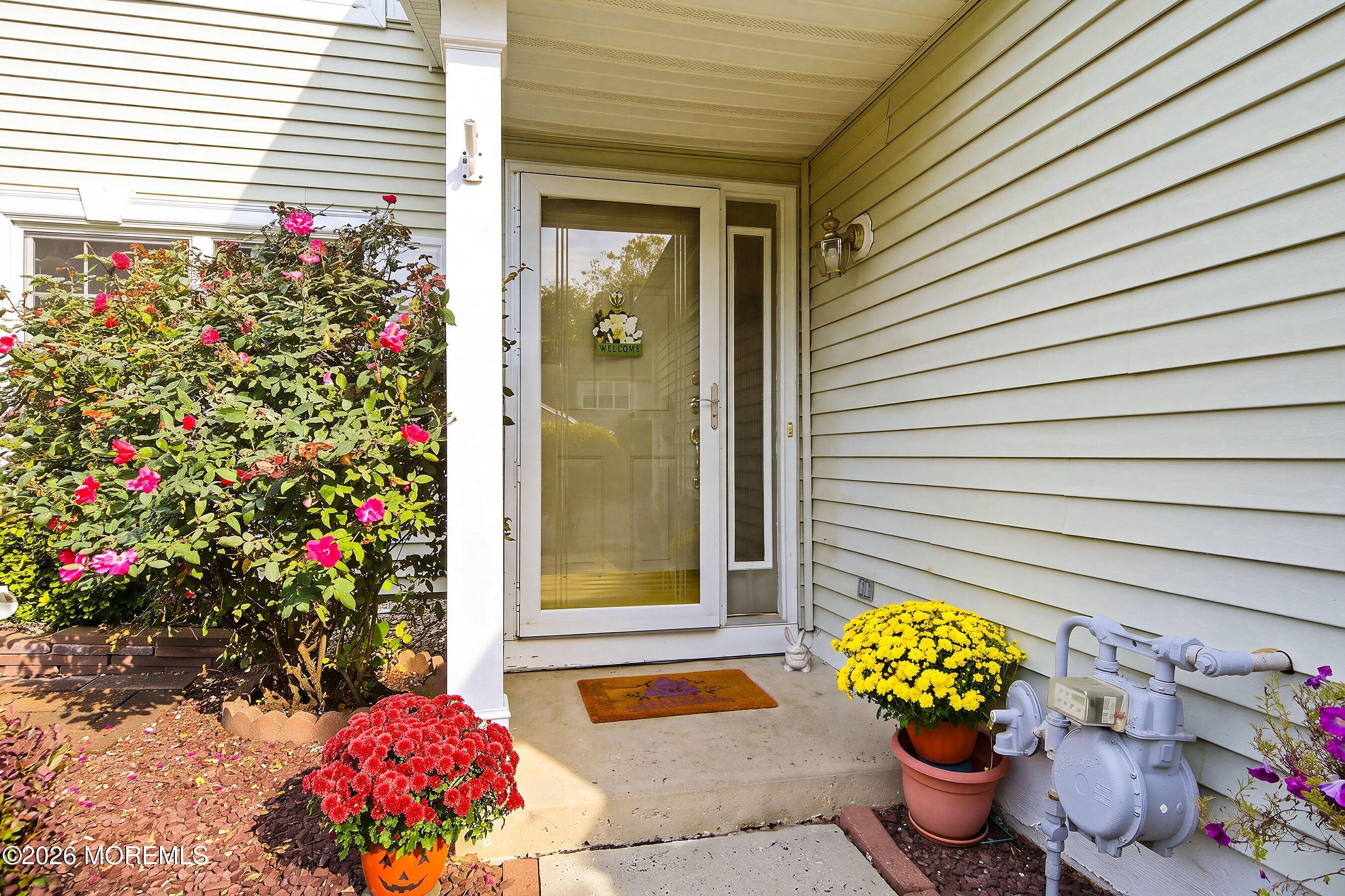 117 Mimosa Lane